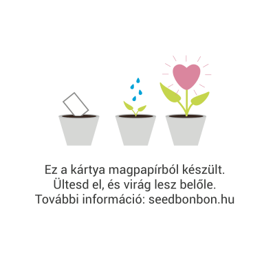 magpapir-magyar-ikon-tajékoztato